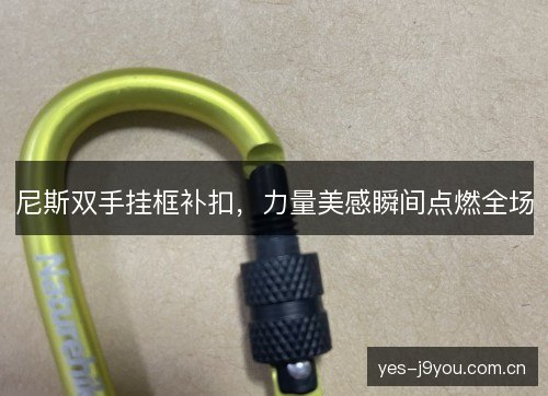 尼斯双手挂框补扣,力量美感瞬间点燃全场 尼斯双手挂框补扣,力量美感瞬间点燃全场